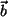$ \vec{b}$