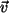 $ \vec{v}$